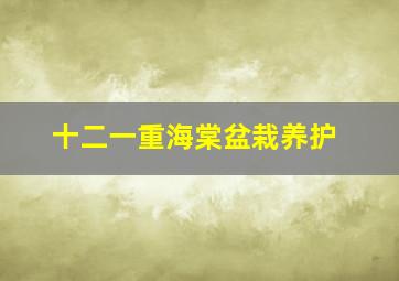 十二一重海棠盆栽养护