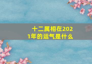 十二属相在2021年的运气是什么