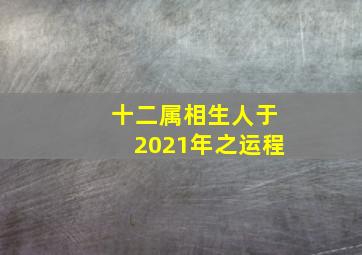 十二属相生人于2021年之运程