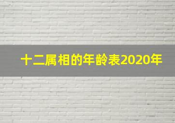 十二属相的年龄表2020年