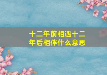 十二年前相遇十二年后相伴什么意思