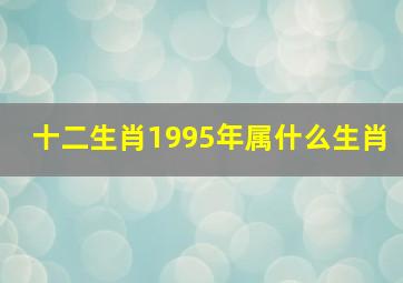 十二生肖1995年属什么生肖