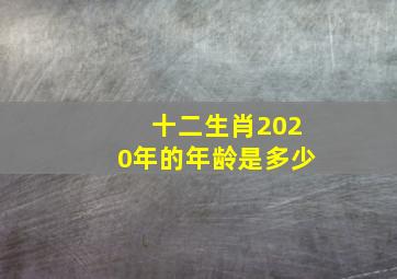 十二生肖2020年的年龄是多少