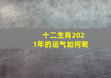 十二生肖2021年的运气如何呢