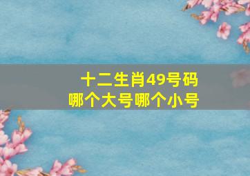 十二生肖49号码哪个大号哪个小号