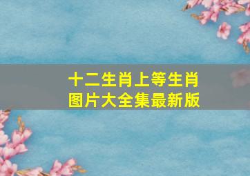 十二生肖上等生肖图片大全集最新版