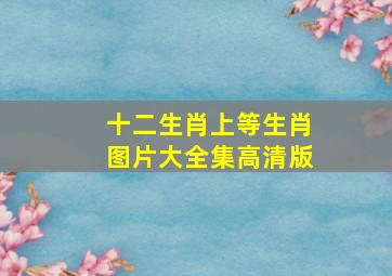 十二生肖上等生肖图片大全集高清版