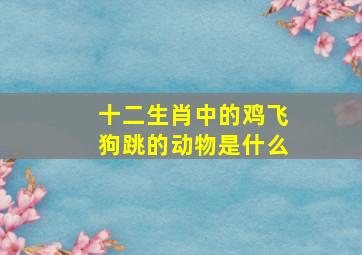 十二生肖中的鸡飞狗跳的动物是什么