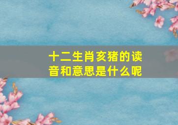 十二生肖亥猪的读音和意思是什么呢