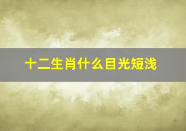 十二生肖什么目光短浅