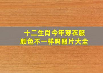 十二生肖今年穿衣服颜色不一样吗图片大全