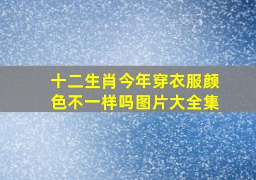 十二生肖今年穿衣服颜色不一样吗图片大全集