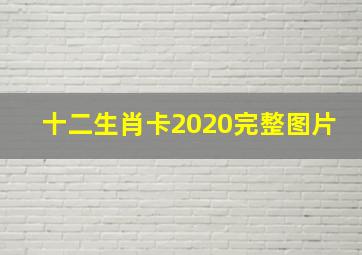 十二生肖卡2020完整图片