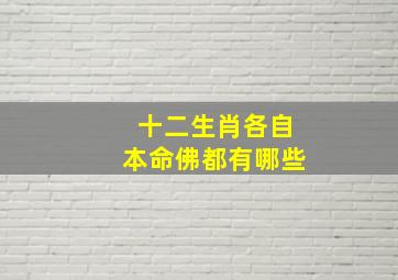 十二生肖各自本命佛都有哪些