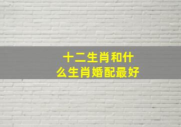 十二生肖和什么生肖婚配最好