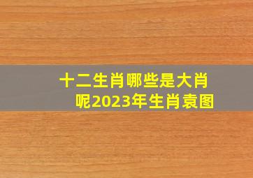 十二生肖哪些是大肖呢2023年生肖袁图