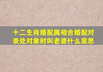 十二生肖婚配属相合婚配对表处对象时叫老婆什么意思