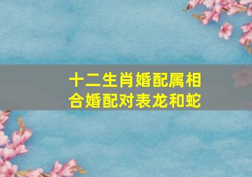 十二生肖婚配属相合婚配对表龙和蛇