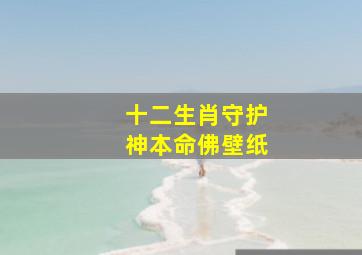 十二生肖守护神本命佛壁纸