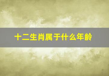 十二生肖属于什么年龄