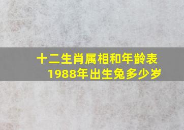 十二生肖属相和年龄表1988年出生兔多少岁