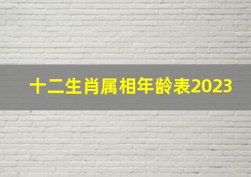 十二生肖属相年龄表2023