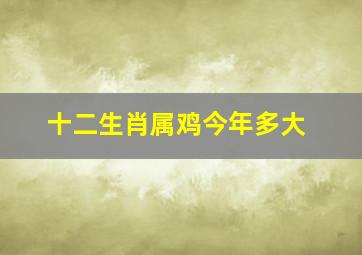 十二生肖属鸡今年多大