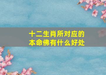 十二生肖所对应的本命佛有什么好处