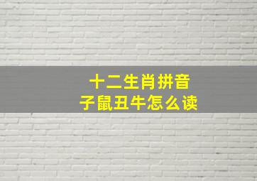 十二生肖拼音子鼠丑牛怎么读