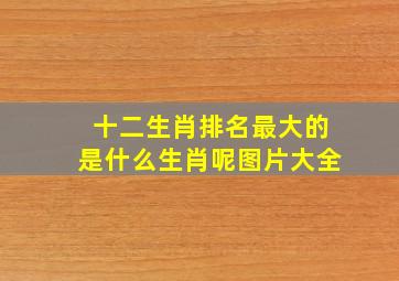 十二生肖排名最大的是什么生肖呢图片大全