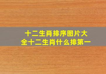 十二生肖排序图片大全十二生肖什么排第一