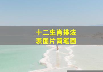 十二生肖排法表图片简笔画