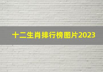 十二生肖排行榜图片2023