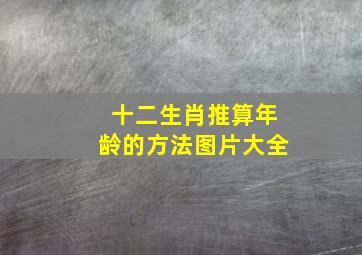 十二生肖推算年龄的方法图片大全