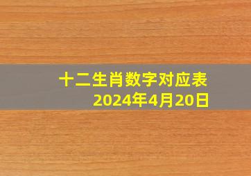 十二生肖数字对应表2024年4月20日