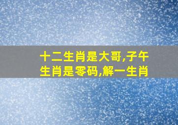 十二生肖是大哥,子午生肖是零码,解一生肖