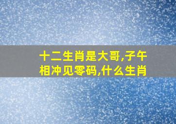 十二生肖是大哥,子午相冲见零码,什么生肖