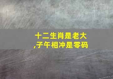 十二生肖是老大,子午相冲是零码