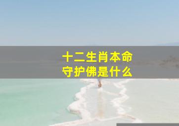 十二生肖本命守护佛是什么