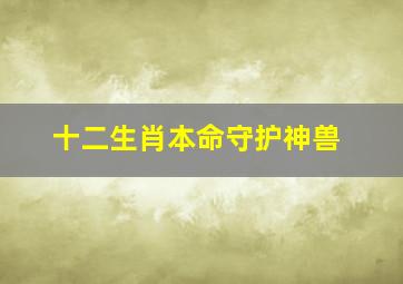 十二生肖本命守护神兽