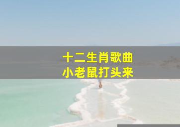 十二生肖歌曲小老鼠打头来