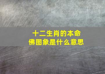 十二生肖的本命佛图象是什么意思