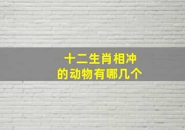 十二生肖相冲的动物有哪几个