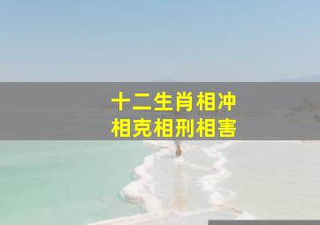 十二生肖相冲相克相刑相害