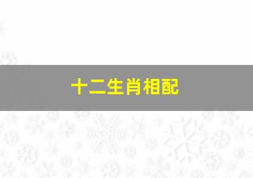 十二生肖相配