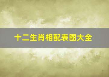 十二生肖相配表图大全