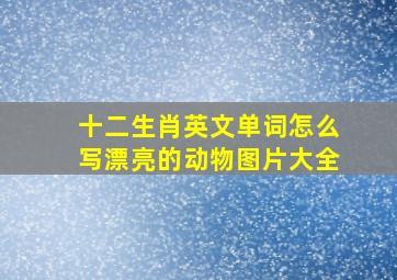 十二生肖英文单词怎么写漂亮的动物图片大全