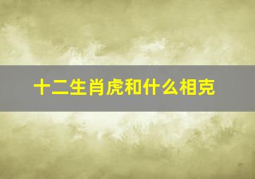 十二生肖虎和什么相克