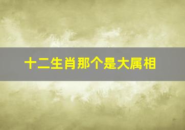 十二生肖那个是大属相