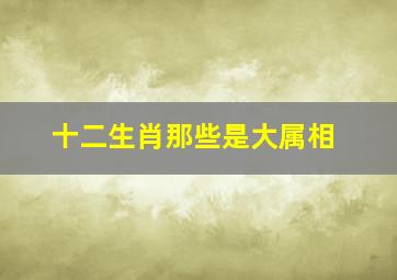 十二生肖那些是大属相